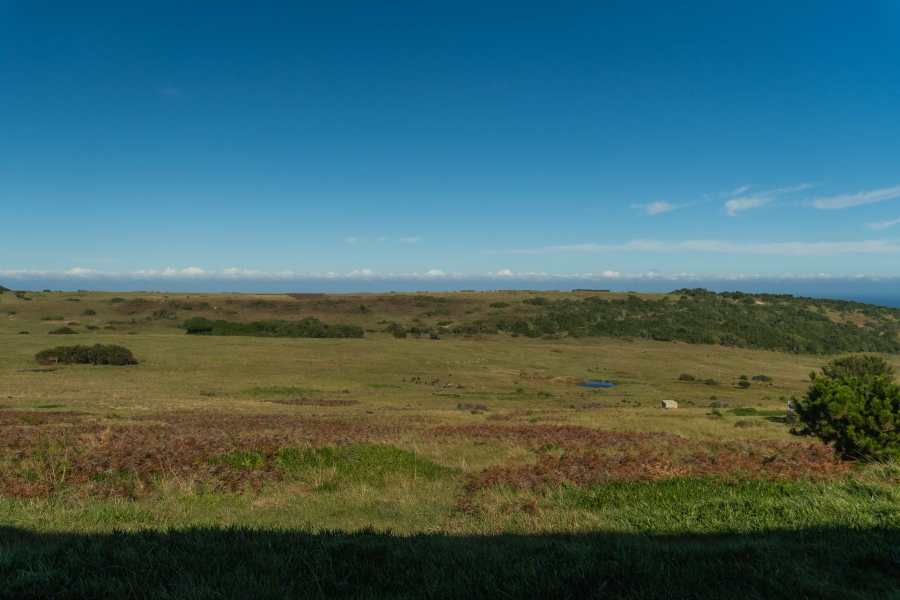 3 Bedroom Property for Sale in Royalston Residential Estate and Wildlife Reserve Eastern Cape